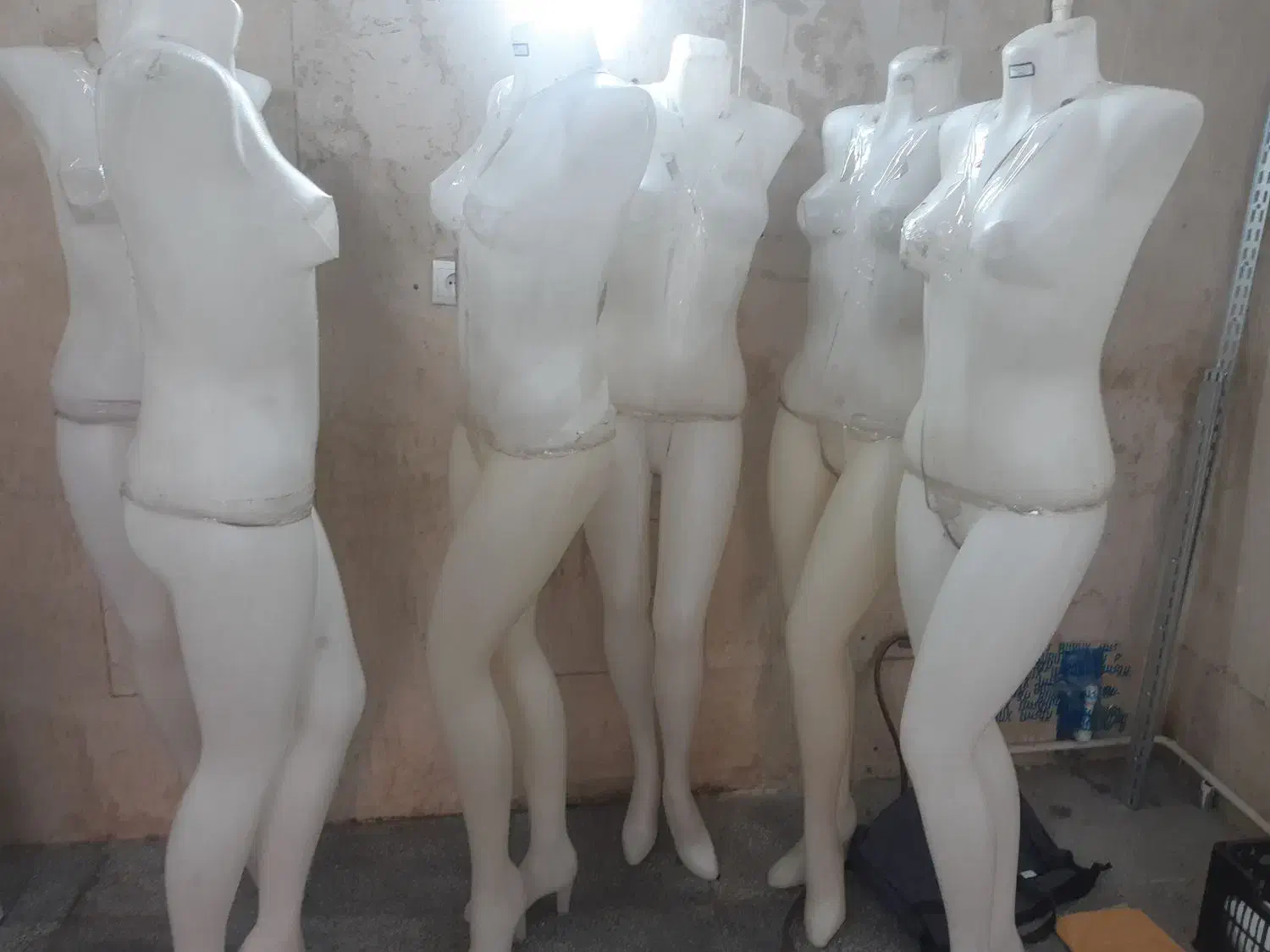 رگال گردون،مانکن،|کتابخانه، شلف، قفسههای دیواری|ری, جوانمرد قصاب|دیوار