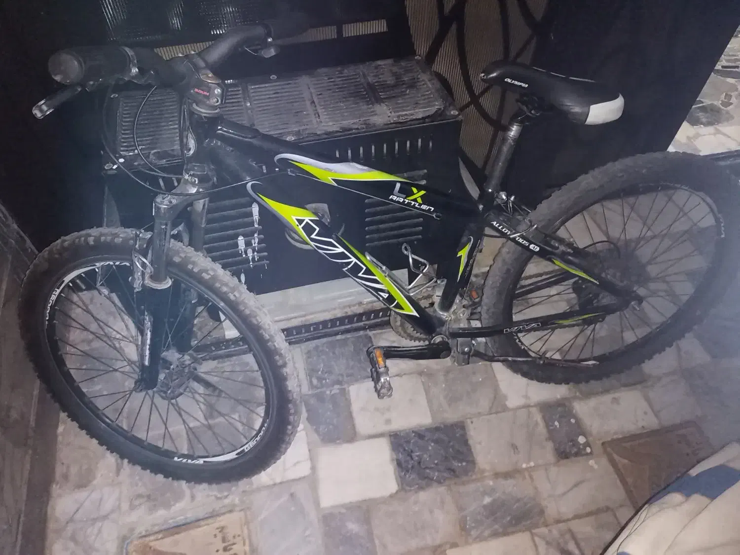 دوچرخه ویوا|دوچرخه، اسکیت، اسکوتر|بیرجند, |دیوار