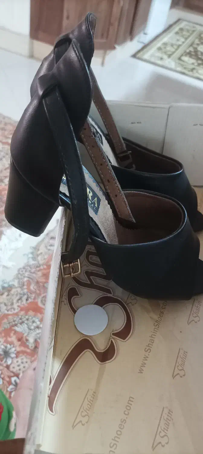 کفش مجلسی|کیف، کفش، کمربند|بیرجند, |دیوار