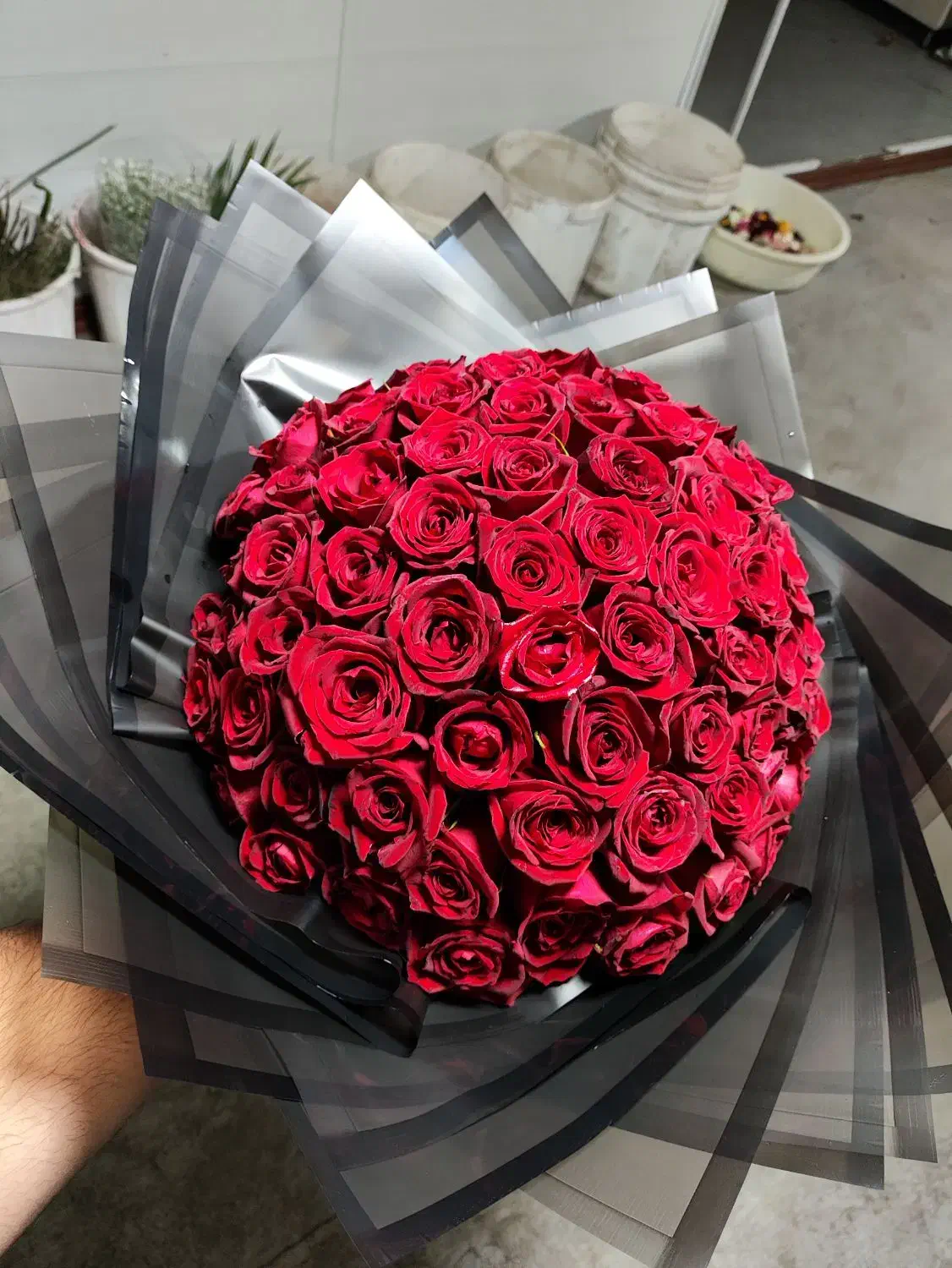 دسته گل رز هلندی بهترین قیمت در مشهد کیفیت عالی|گل و گیاه طبیعی|مشهد, امامیه (شهرک غرب)|دیوار