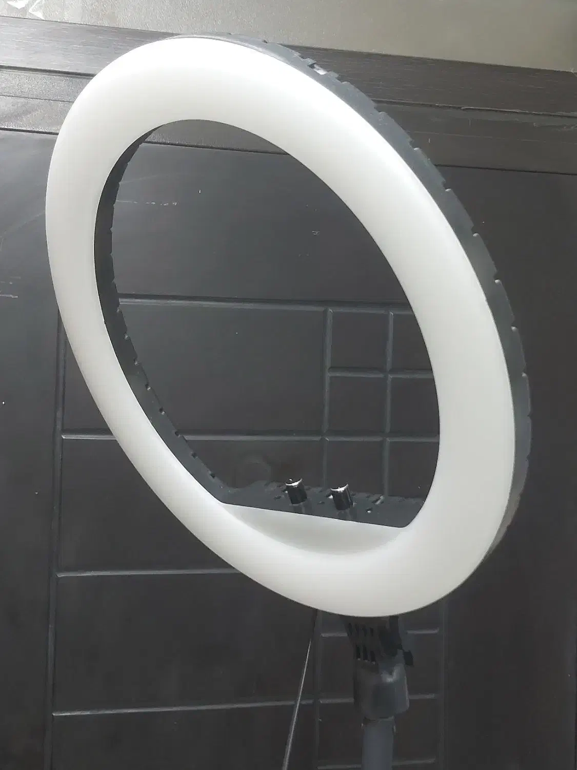 رینگ لایت هارمونی(HARMONY)|دوربین عکاسی و فیلم‌برداری|شیراز, اصلاح‌نژاد|دیوار