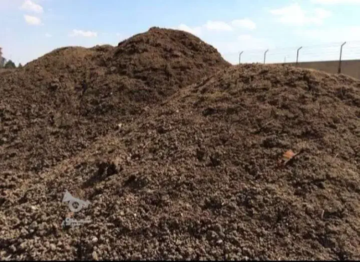 کود مرغ تخم گذار|گل و گیاه طبیعی|علیآباد کتول, |دیوار