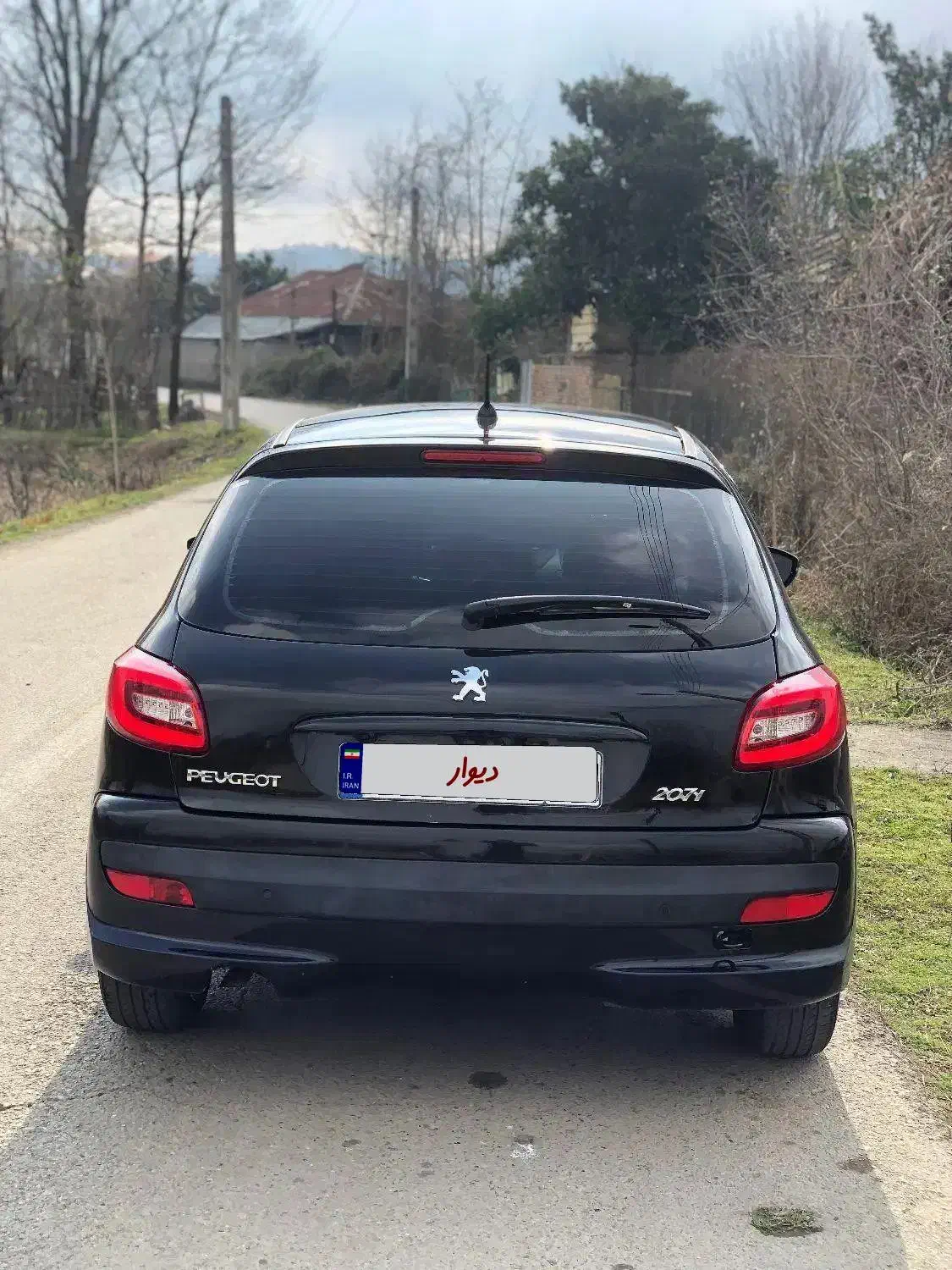 207 سقف پانا 1402|خودرو سواری و وانت|رشت, یخسازی|دیوار