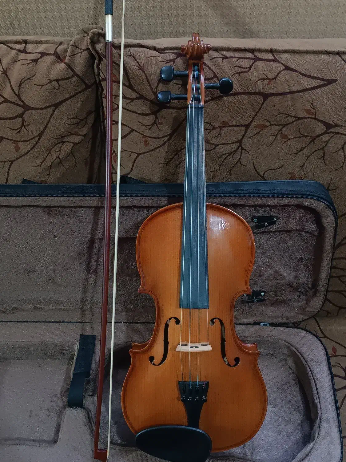ویولن 4/4|ویولن|نیشابور, بنیاد شهید|دیوار