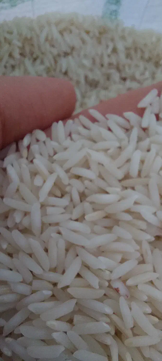 برنج طارم هاشمی فریدونکنار|خوردنی و آشامیدنی|هشتگرد, فاز ۷ مهستان|دیوار