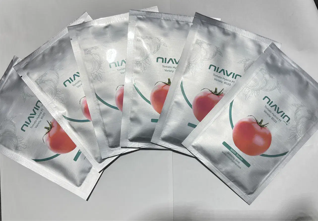 بذر گوجه فرنگی F1 رقم صادراتی ۸۰۲۰مشابه ۸۳۲۰|خدمات باغبانی و درختکاری|تبریز, |دیوار