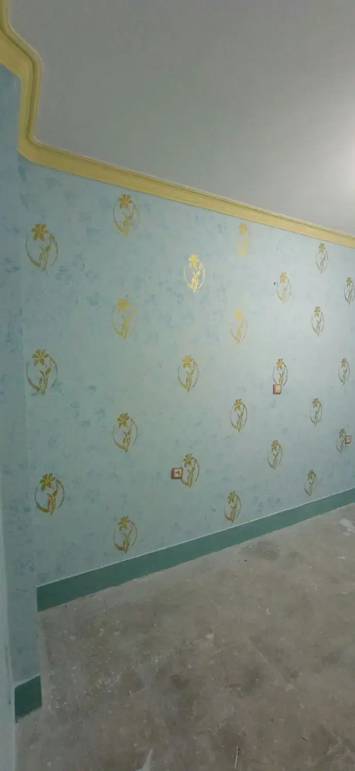 رنگ آمیزی نقاشی ساختمان|خدمات پیشه و مهارت|میناب, |دیوار