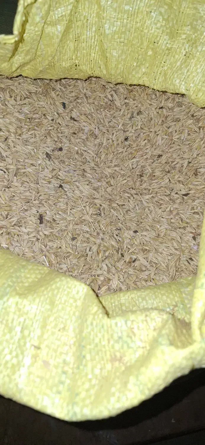 جو سفید|خدمات باغبانی و درختکاری|تربت جام, معدآباد|دیوار