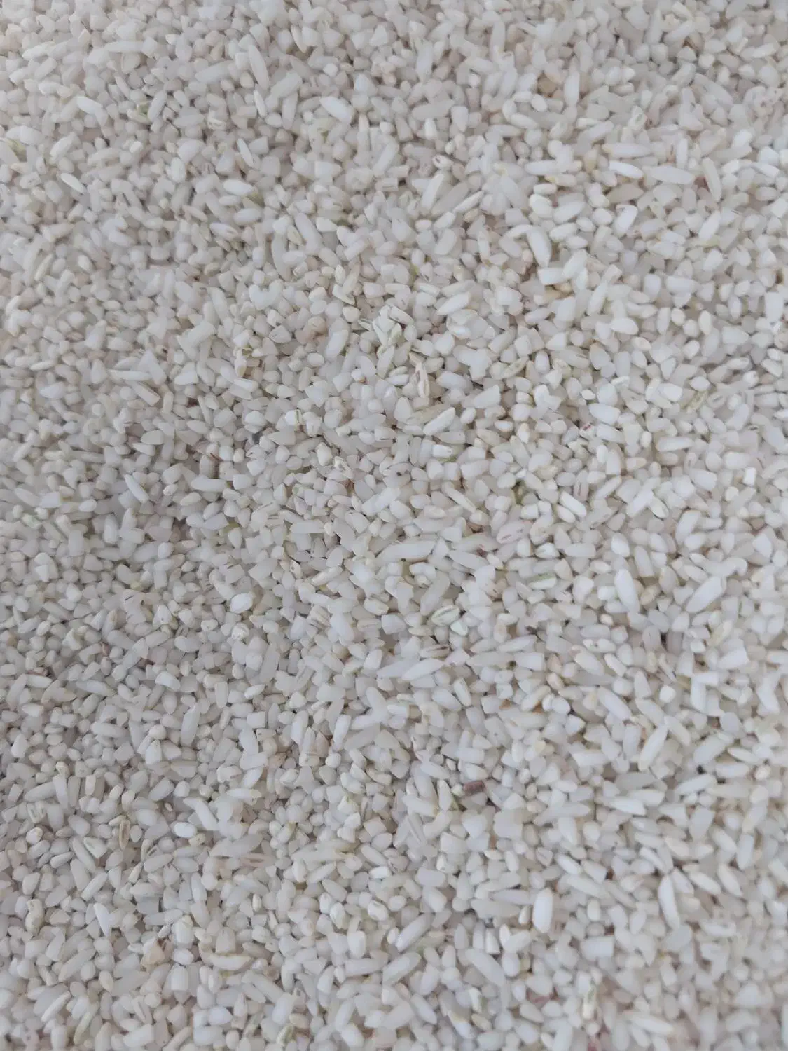 فروش برنج سر لاشه عنبربو|خوردنی و آشامیدنی|فسا, |دیوار