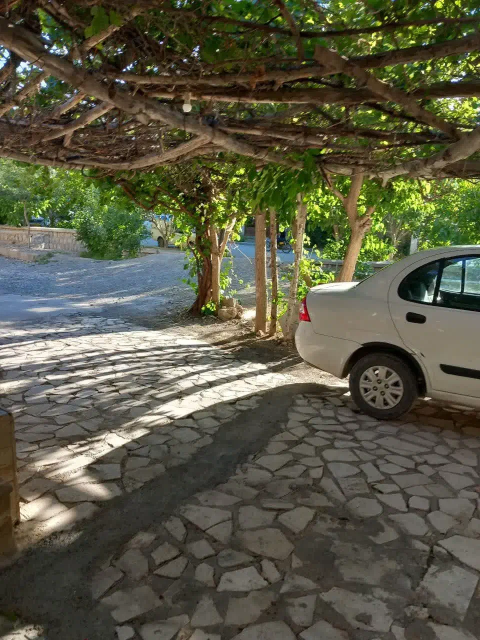 اجاره سوئیت ومنزل|اجارهٔ کوتاه‌مدت آپارتمان و سوئیت|سامان, |دیوار