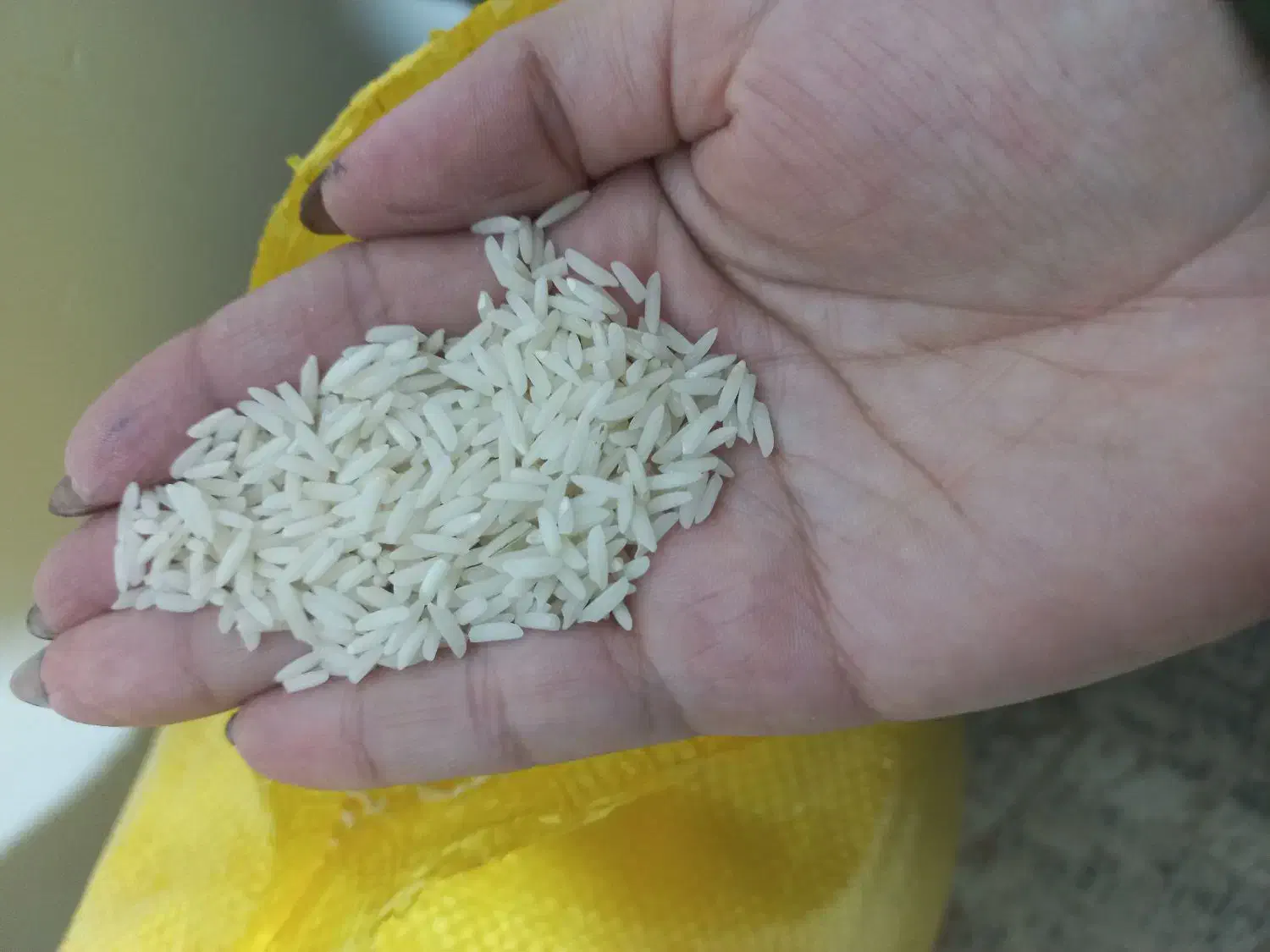 برنج هاشمی|خوردنی و آشامیدنی|شفت, |دیوار