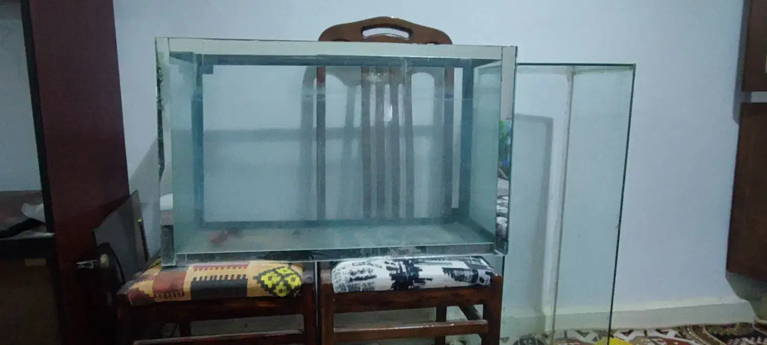 شیشه آکواریوم|ماهی|دزفول, |دیوار