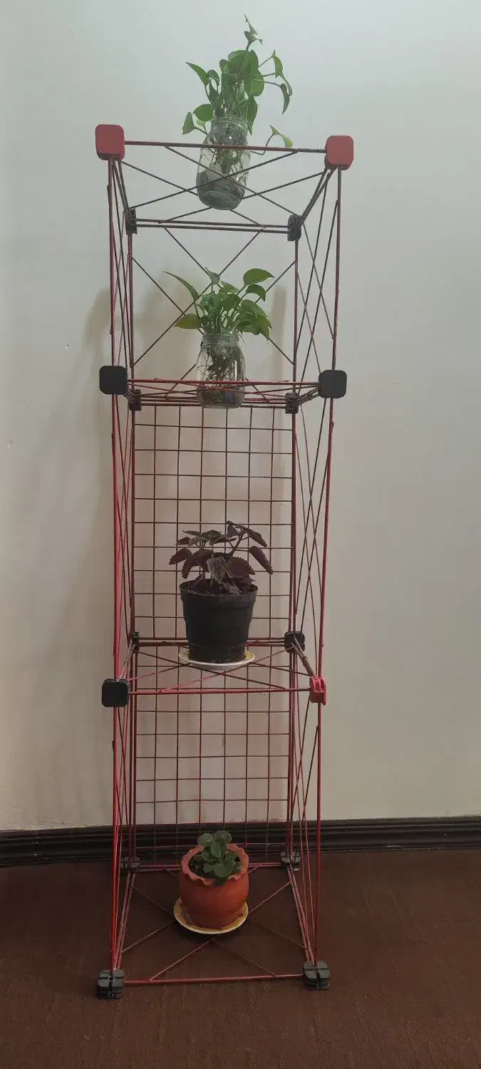 قفسه و دو عدد قفس|کتابخانه، شلف، قفسه‌های دیواری|صدرا-فارس, فاز ۱|دیوار