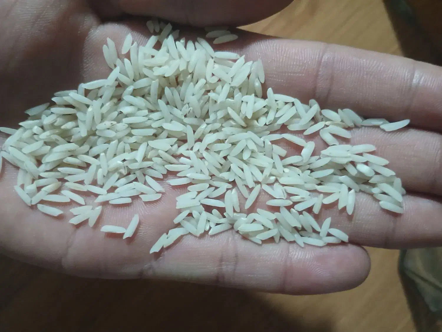 برنج کلات|خوردنی و آشامیدنی|کلات (خراسان), |دیوار