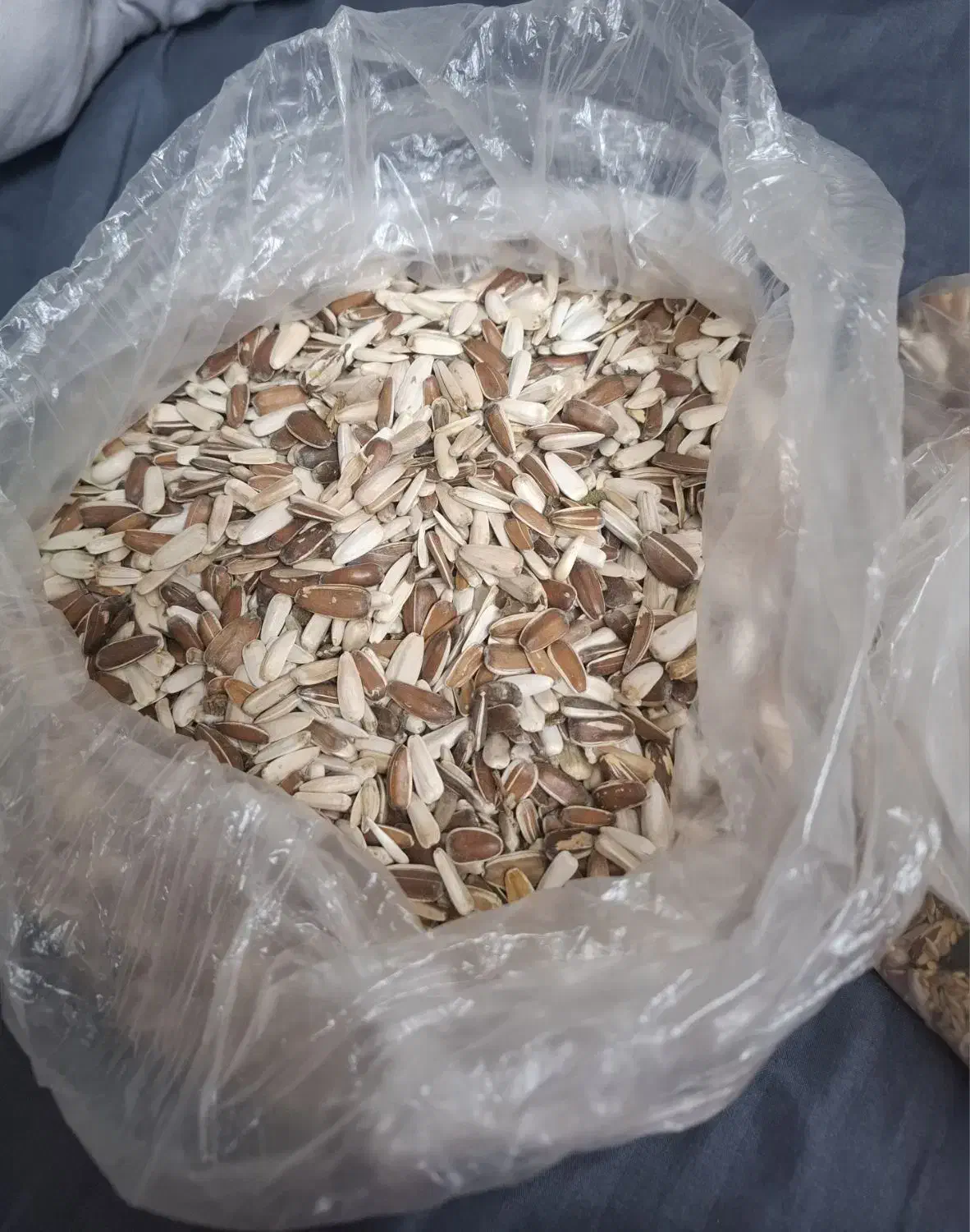 غذای طوطیسان|لوازم جانبی حیوانات|تهران, جوادیه|دیوار