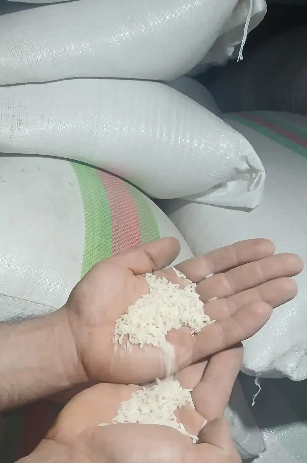 برنج حسن سرا گیلده آستانه اشرفیه ۳۳۰تومان|خوردنی و آشامیدنی|کیاشهر, |دیوار