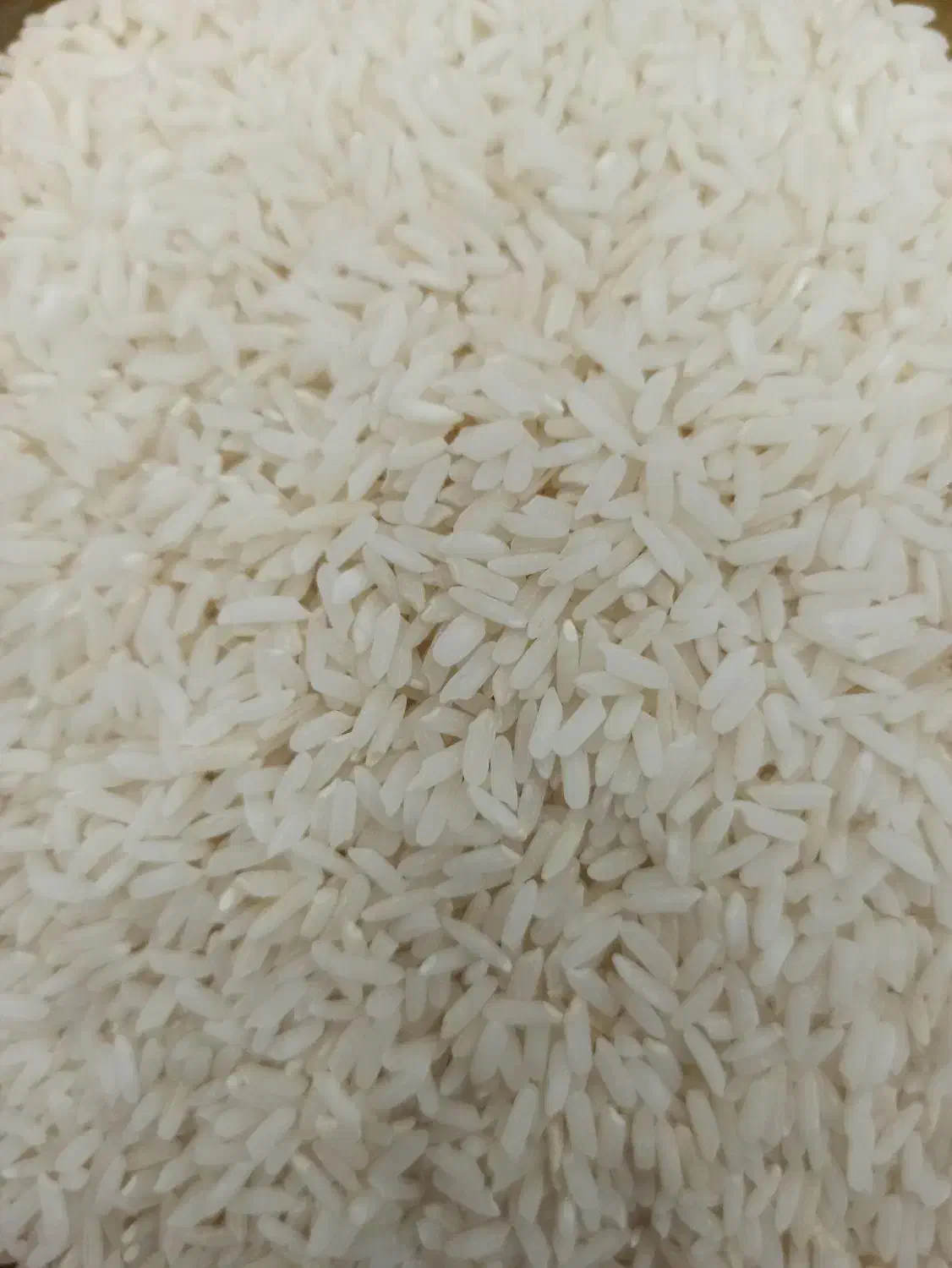 برنج اصل شمال|خوردنی و آشامیدنی|زرند, |دیوار