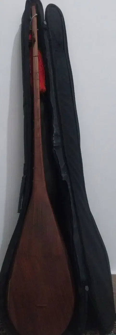 دوتار|سازهای سنتی|آشخانه, |دیوار