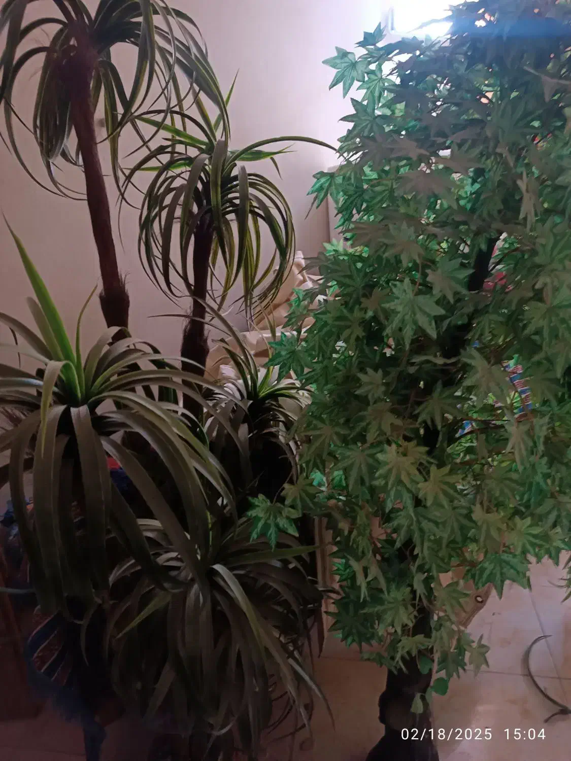 سه عدد درخت مصنوعی ارتفاع ۱۹۰|گل مصنوعی|شیراز, شهرک گلستان|دیوار