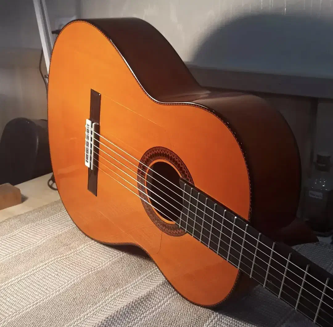 گیتار فلامنکو فوق العاده خوش صدا|گیتار، بیس، امپلیفایر|قم, باجک سه|دیوار