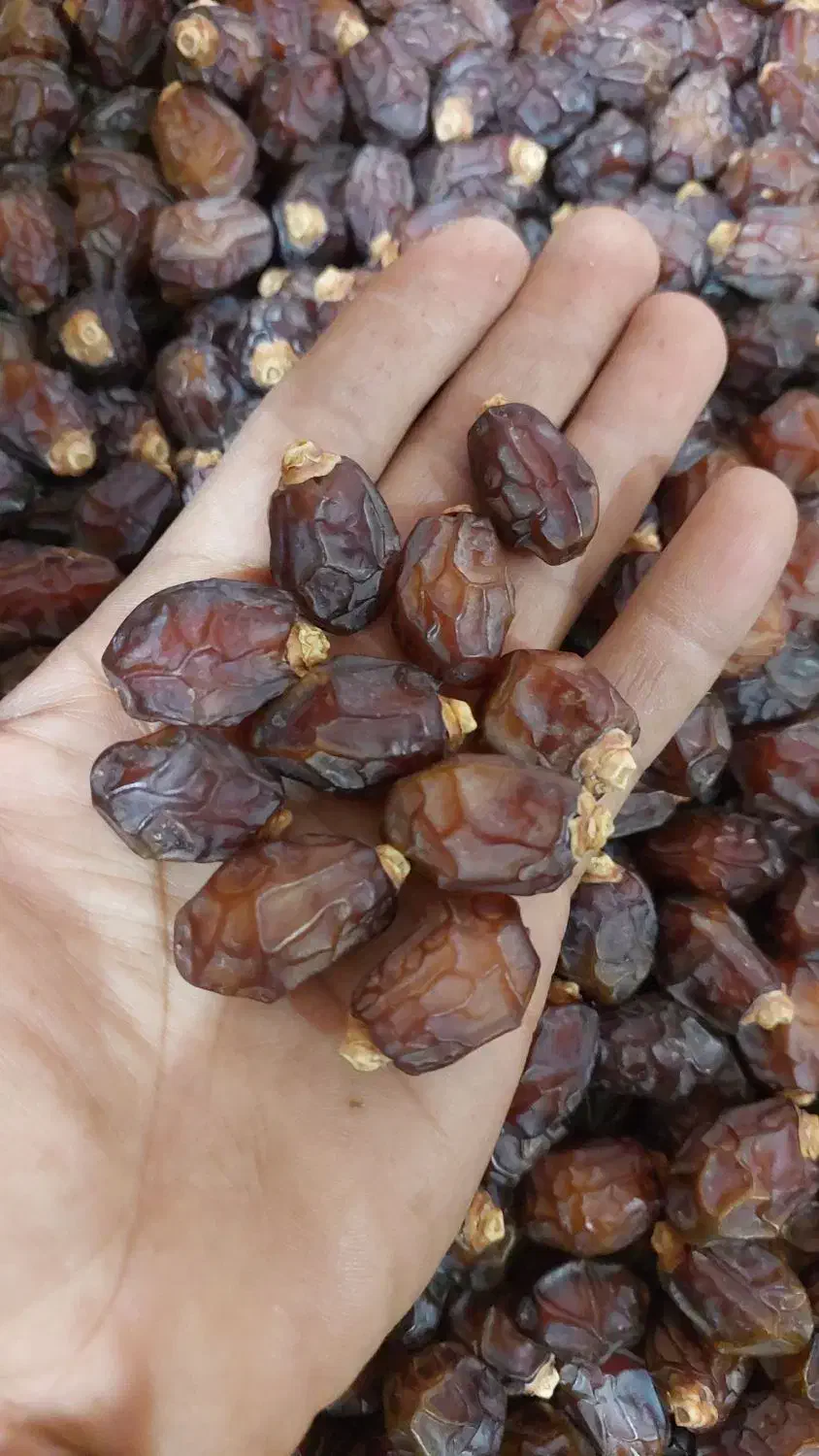 خرما خاصویی جم|خوردنی و آشامیدنی|ریز, |دیوار