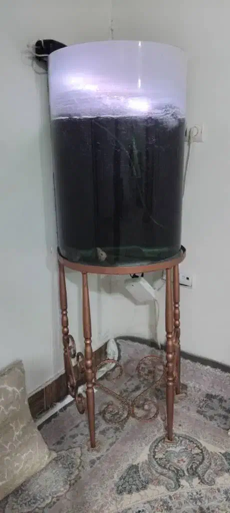 یه عدد آکواریوم باپایش به فروش میرسدوسه عددماهی|ماهی|شیروان (لرستان), |دیوار