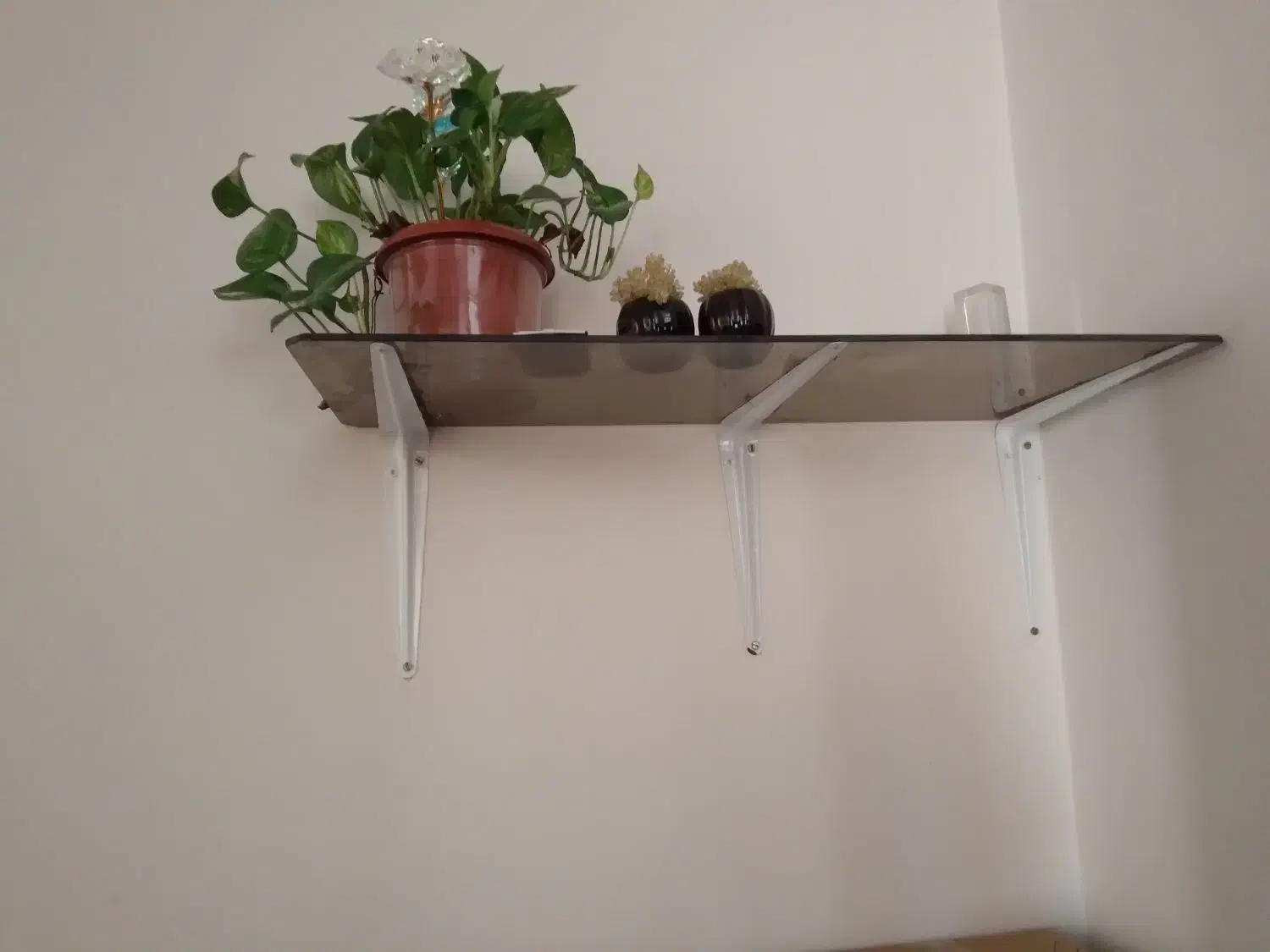 شلف شیشه ای|کتابخانه، شلف، قفسه‌های دیواری|شیراز, جانبازان|دیوار