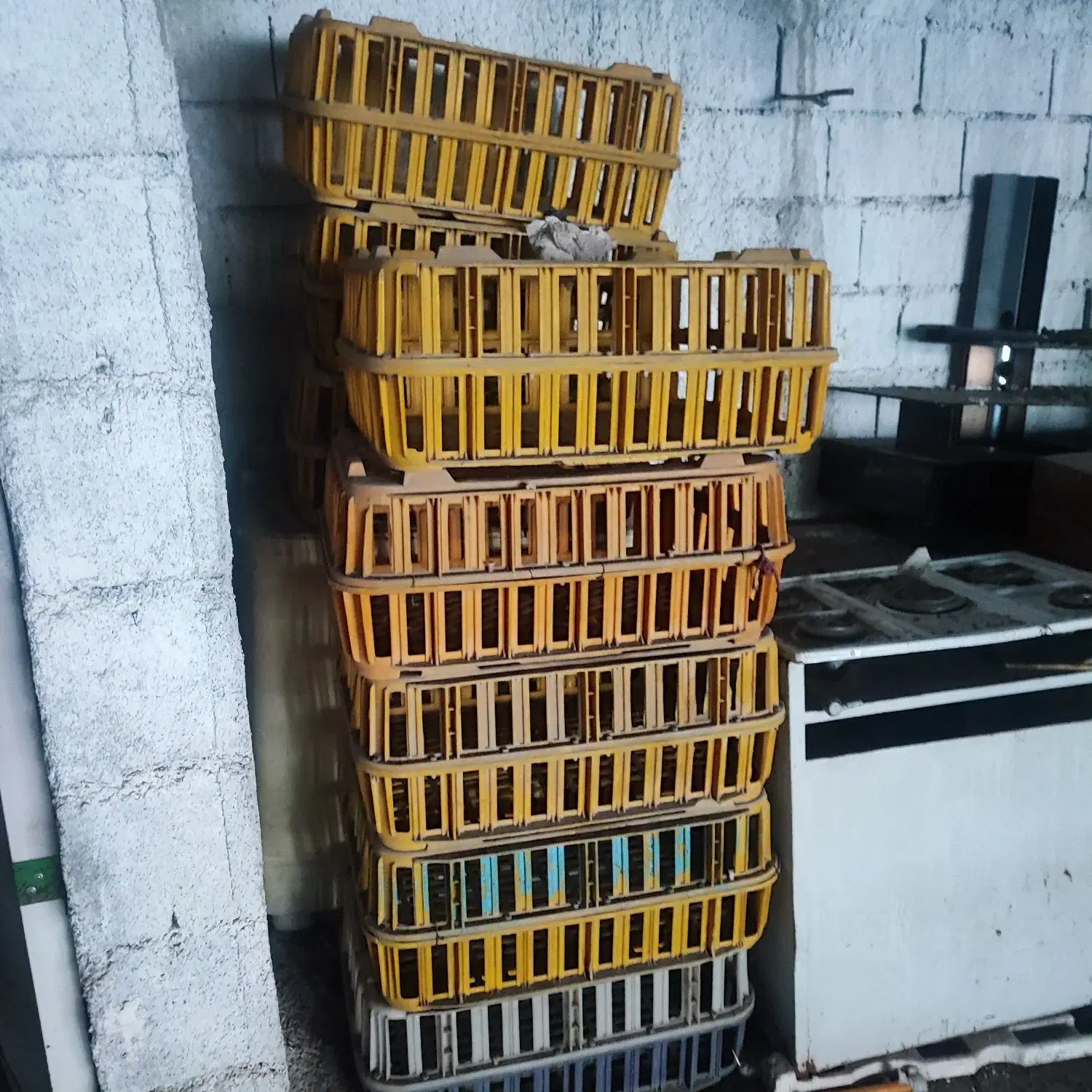 قفس مرغ|لوازم جانبی حیوانات|ایذه, |دیوار