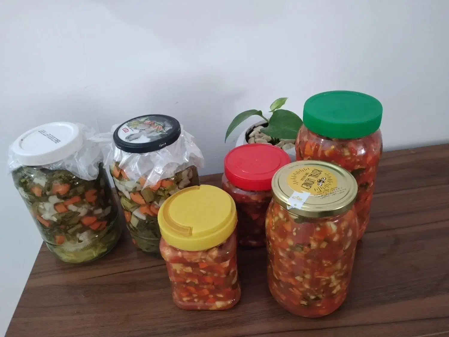 سالاد فصل و ترشی خانگی|خوردنی و آشامیدنی|پاکدشت, شهرک امام رضا|دیوار