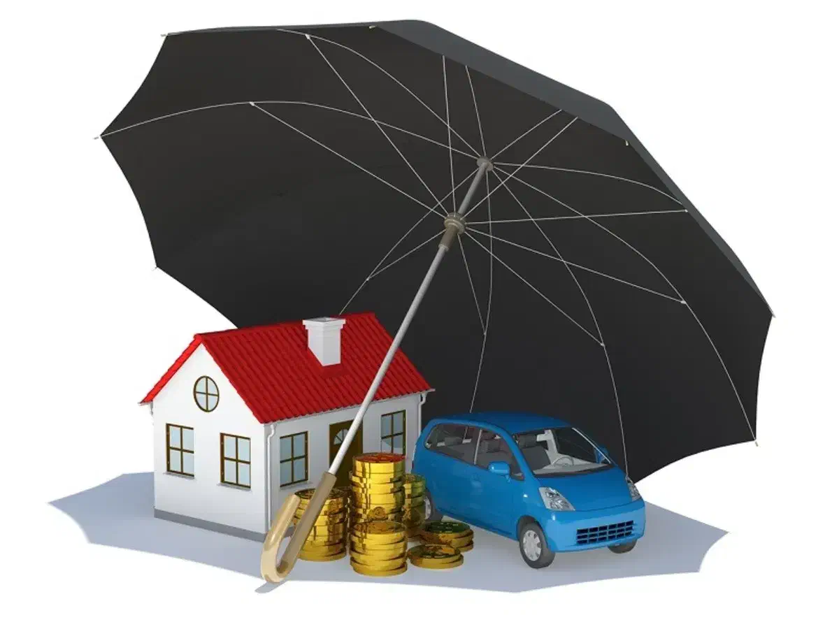 مشاوره و صدور انواع بیمه نامه( نقد و اقساط) تعاون|خدمات مالی، حسابداری، بیمه|لاهیجان, کوی آزادگان|دیوار