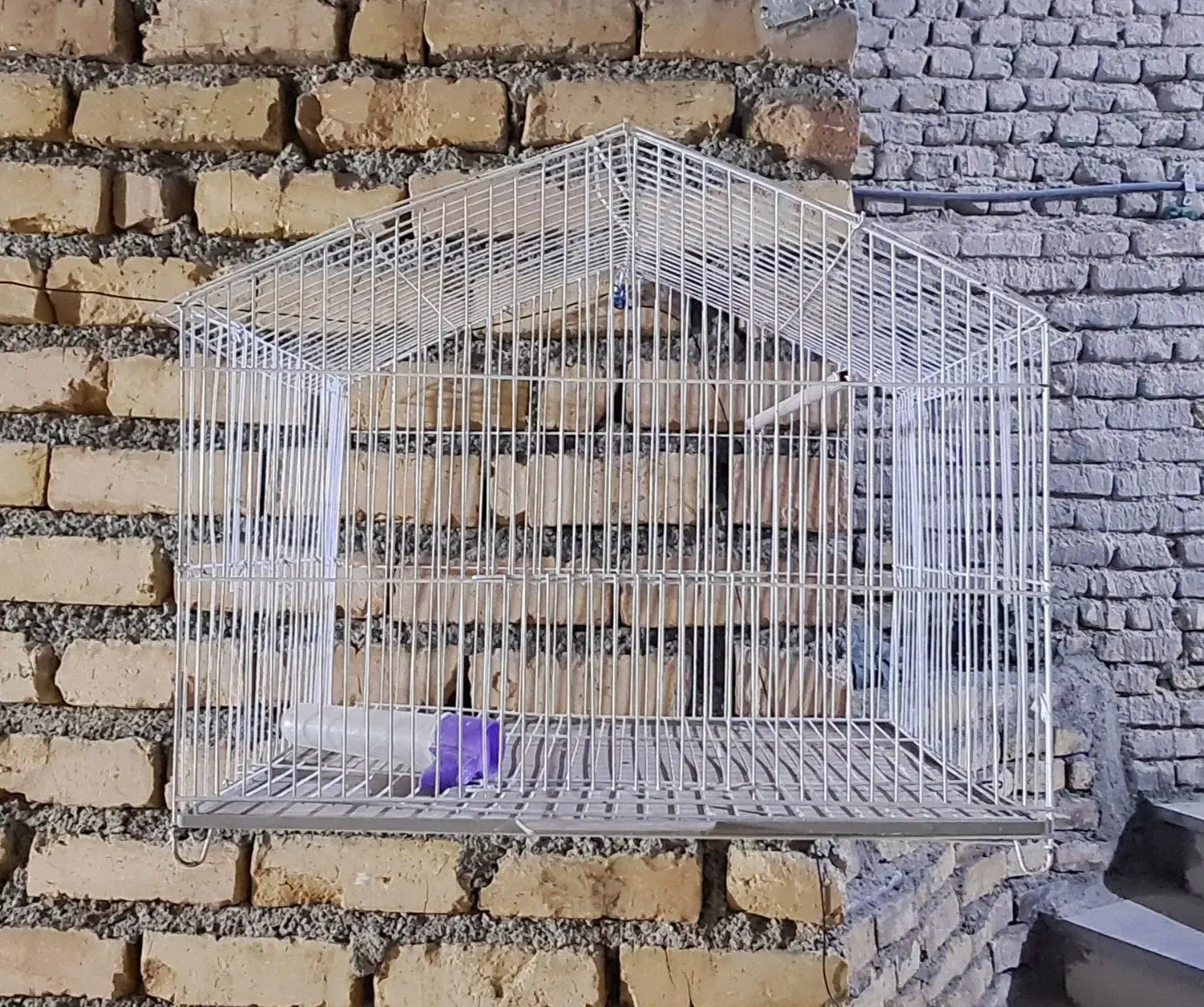 قفس پرنده|لوازم جانبی حیوانات|تربتحیدریه, شهرک ولیعصر|دیوار