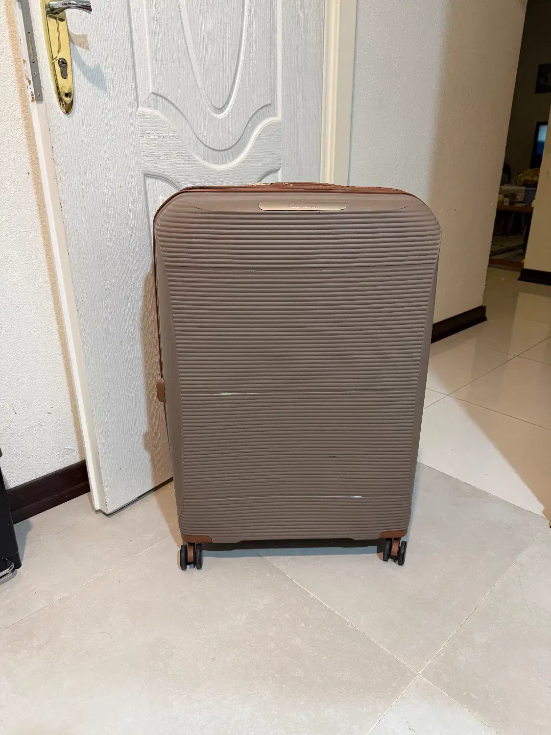 چمدان|کیف، کفش، کمربند|بوشهر, |دیوار