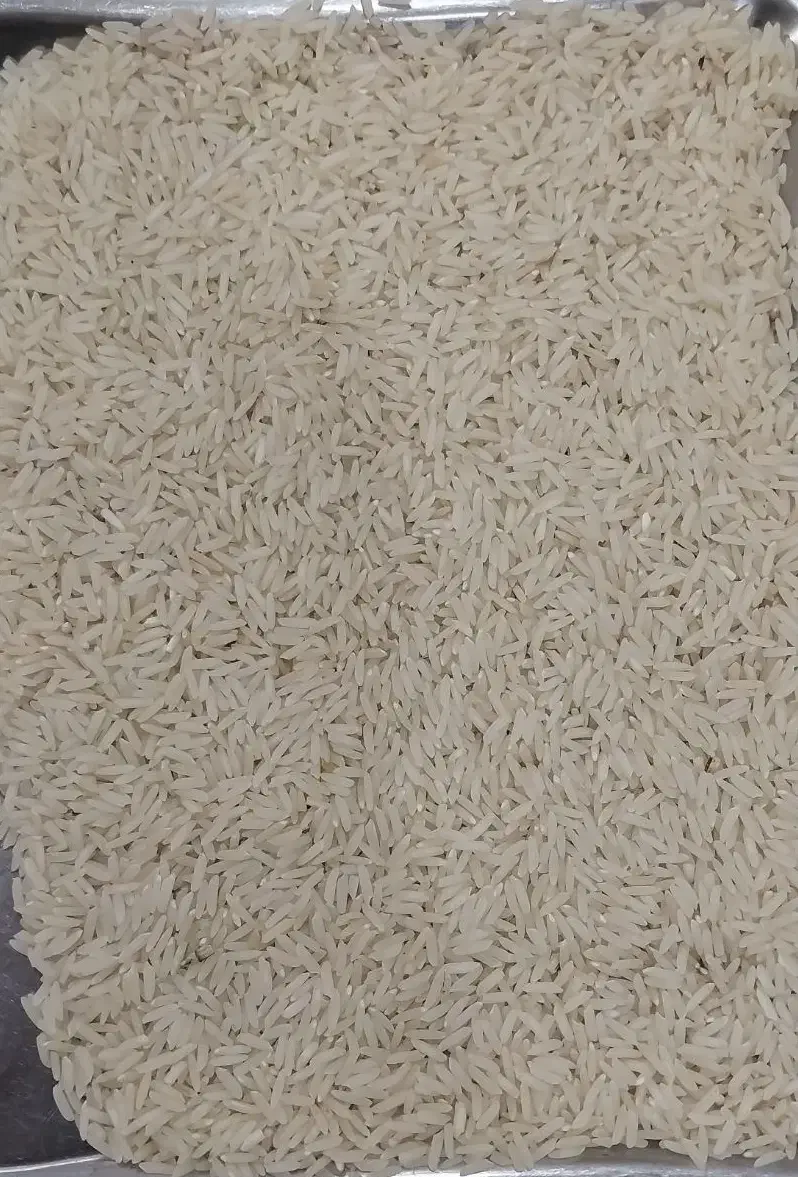 برنج طارم هاشمی (کشت دوم)(۱۴۰۴)|خوردنی و آشامیدنی|دابودشت, |دیوار