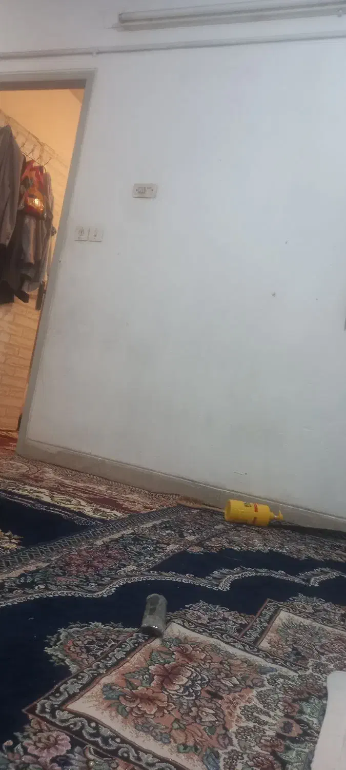 همخونه|اجارهٔ آپارتمان|شیراز, بریجستون|دیوار