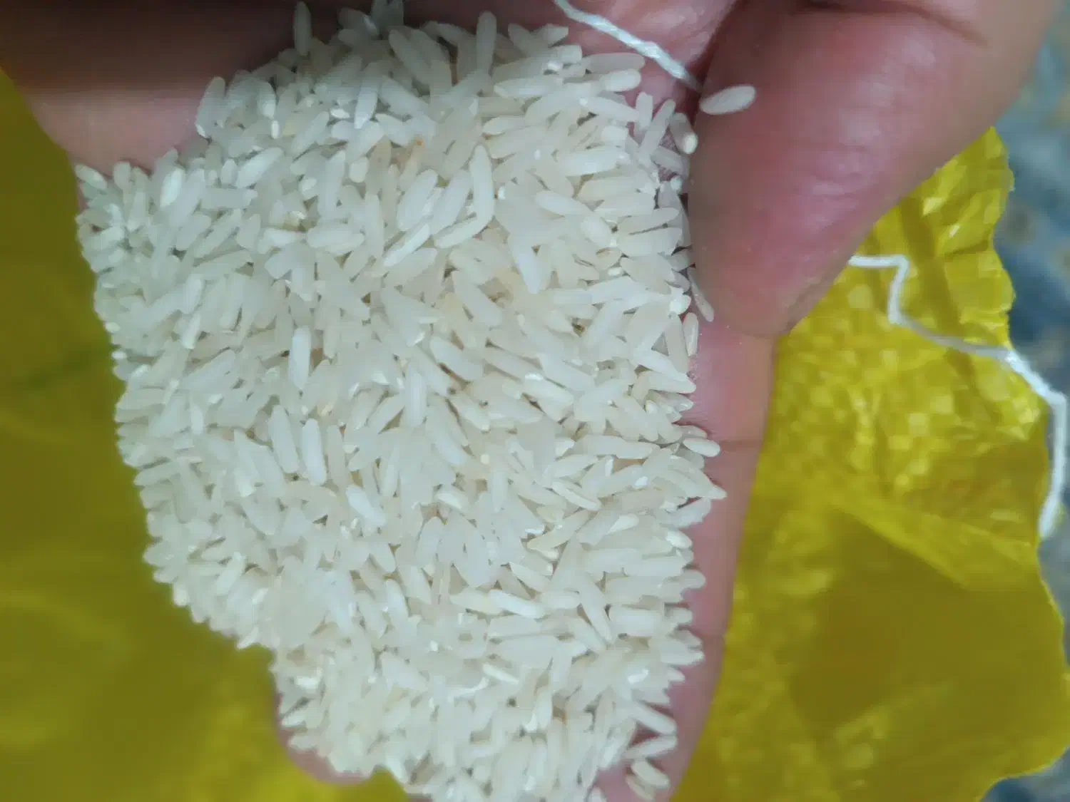 برنج عنبربو|خوردنی و آشامیدنی|اهواز, گلستان|دیوار