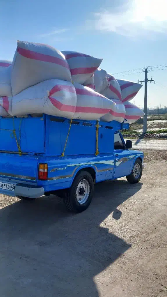 برای تکمیل کردن کادر نیاز به (وانت .آریسان.نیسان )|استخدام حمل و نقل|رشت, کوی امام رضا|دیوار