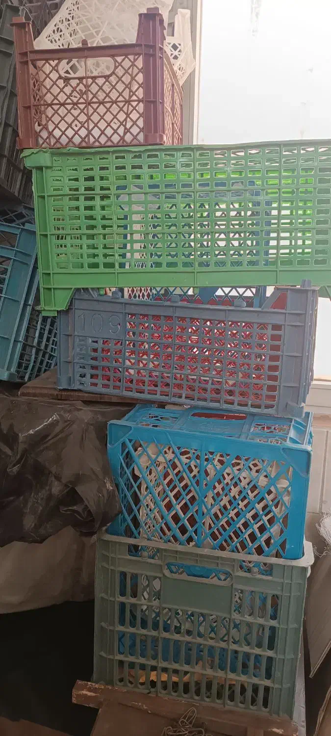 سبد های میوه|ظروف نگهدارنده، پلاستیکی، یکبارمصرف|وحیدیه, |دیوار