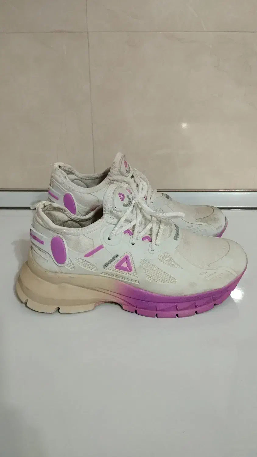 کفش|کیف، کفش، کمربند|مرند, |دیوار