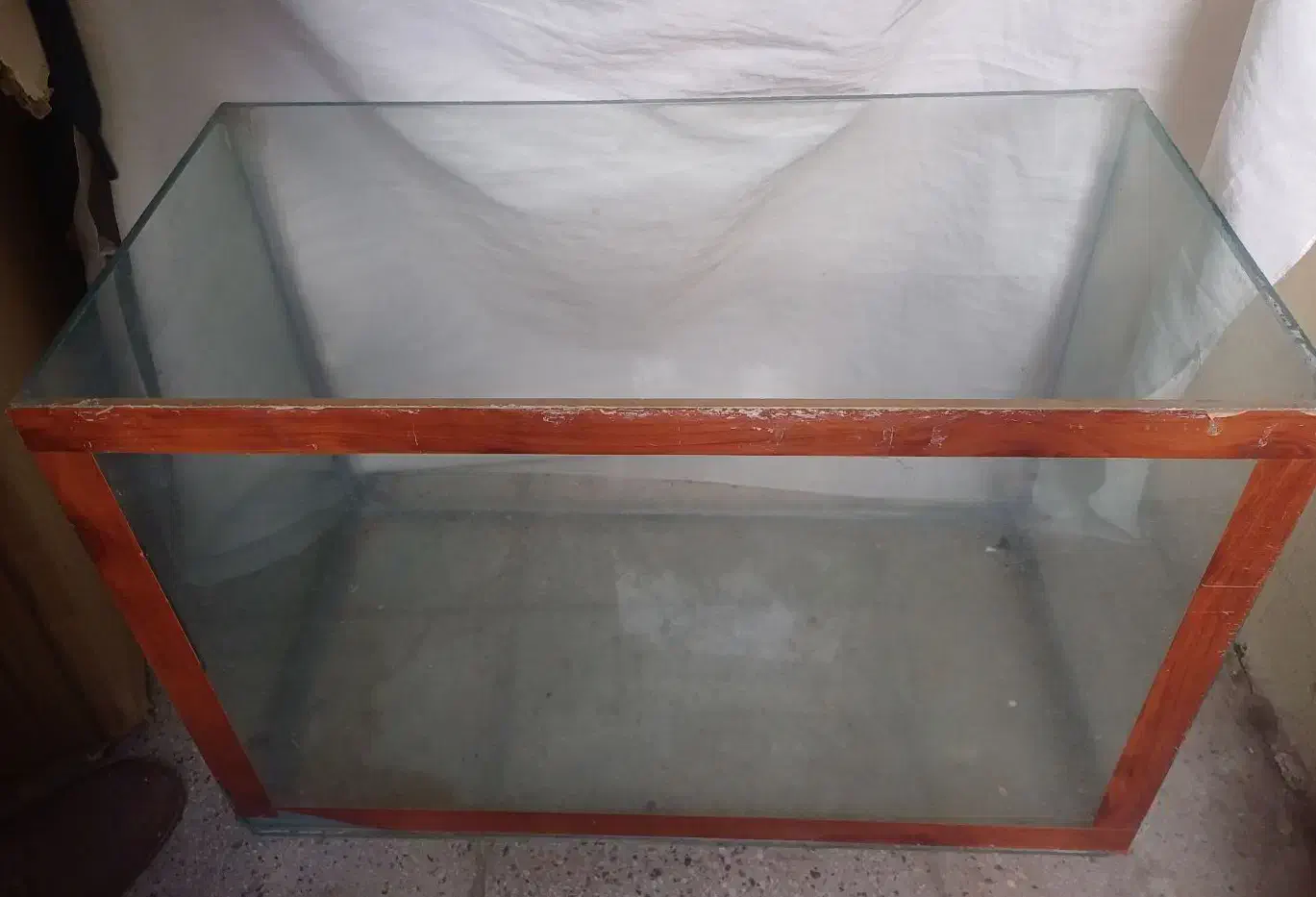 اکواریوم|ماهی|تهران, افسریه شمالی|دیوار