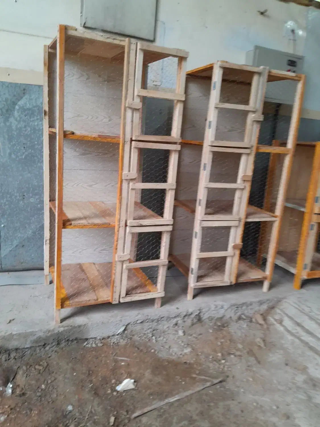 تولیدی/ جفت کن کبوتر/300 تومان|لوازم جانبی حیوانات|رشت, توشیبا|دیوار