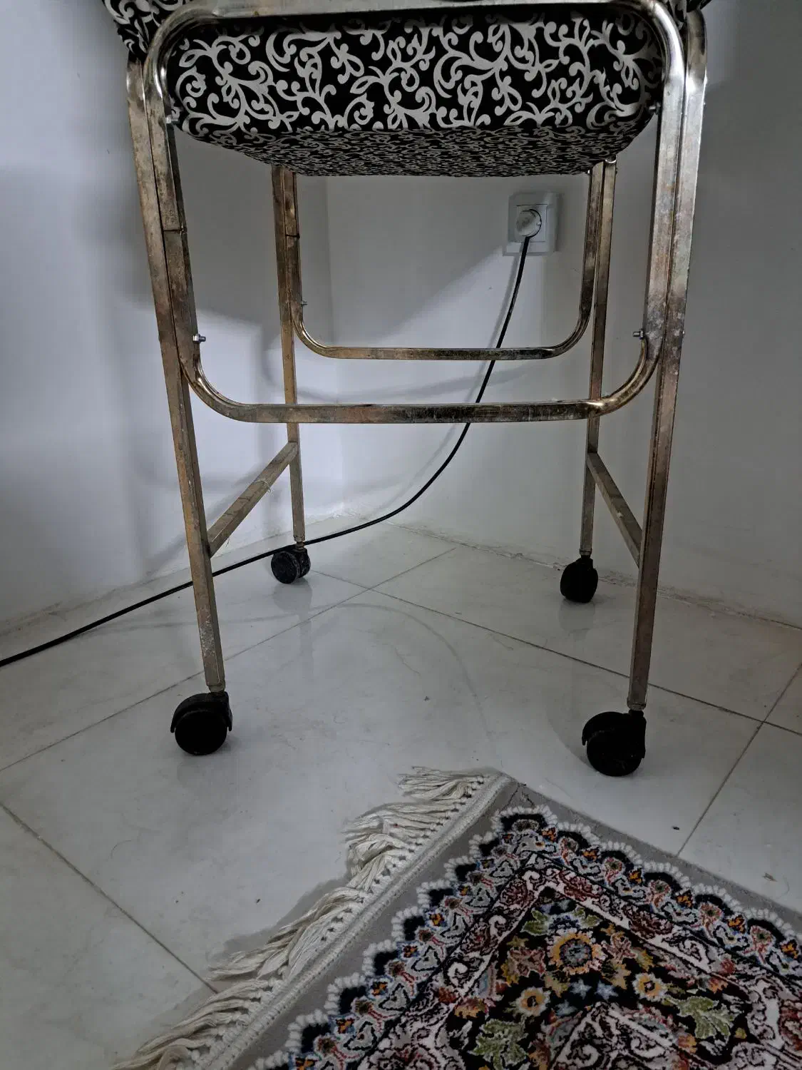 عروس هلندی|پرنده|شیراز, احمدآباد|دیوار