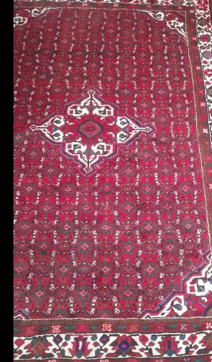 فرش ازندریان گوشتی|فرش|همدان, |دیوار