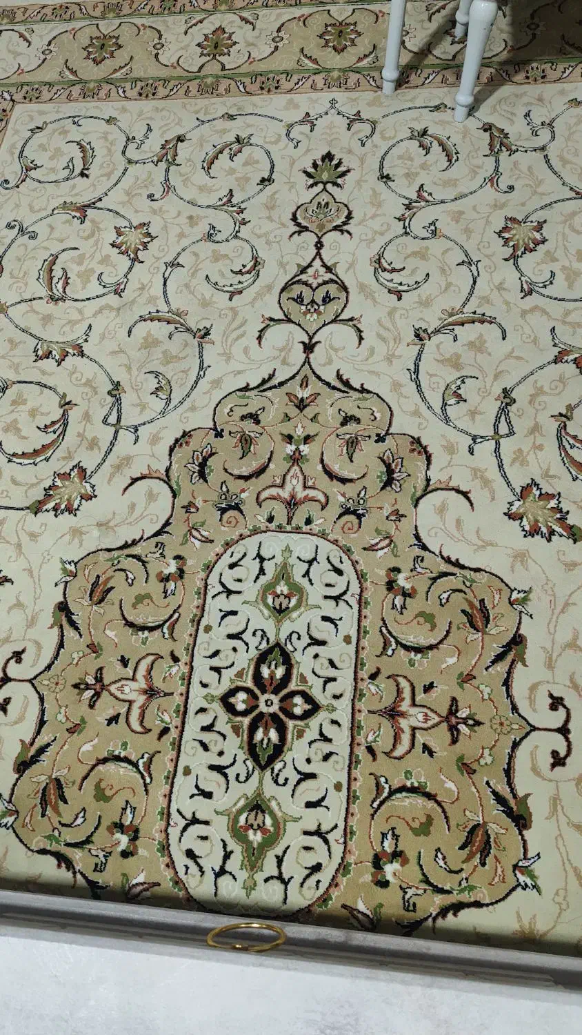 فرش|فرش|رشت, شهرک قدس|دیوار