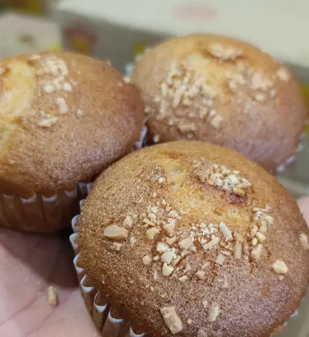 قنادی شیرینی عمده|خوردنی و آشامیدنی|اهواز, کوی علوی|دیوار