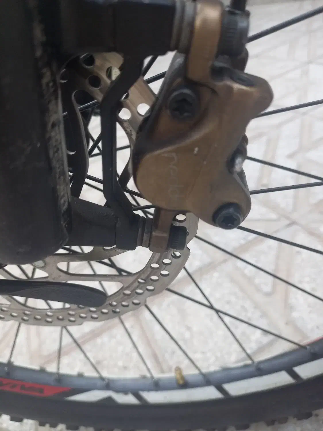 دوچرخه ویوا تایوانی اصل آرم تنه برجسته|دوچرخه، اسکیت، اسکوتر|ارومیه, |دیوار