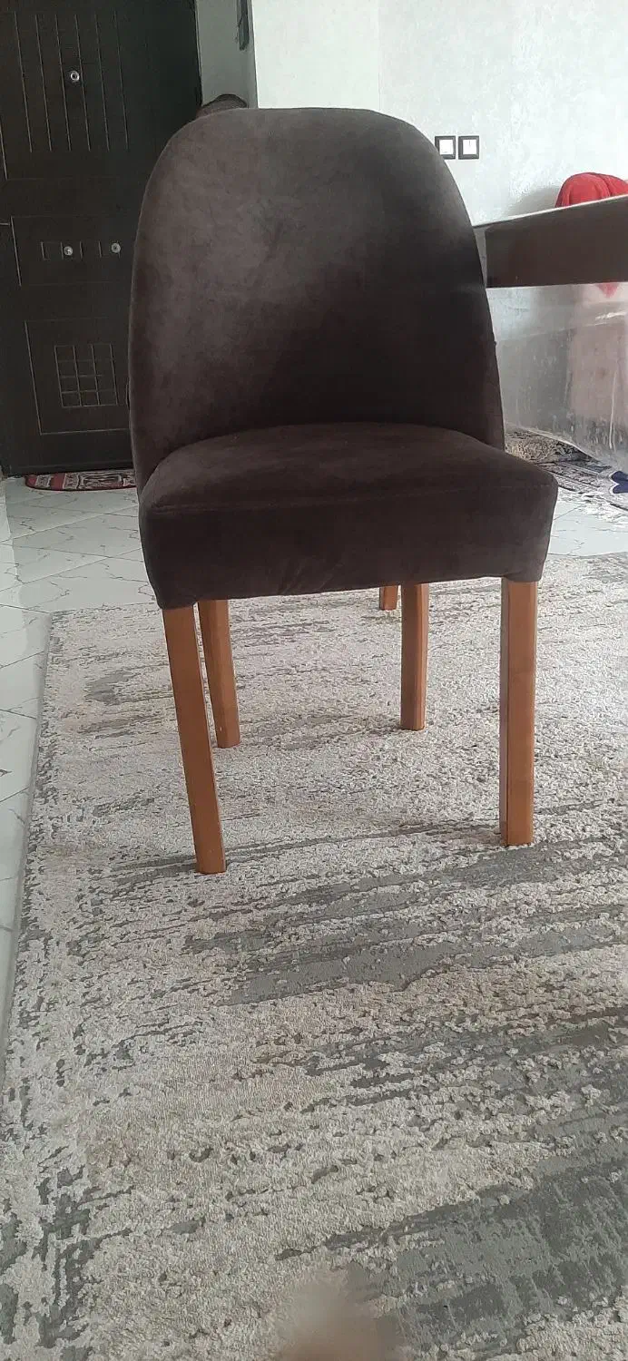 صندلی ناهارخوری|میز و صندلی غذاخوری|شیراز, دشت چنار|دیوار