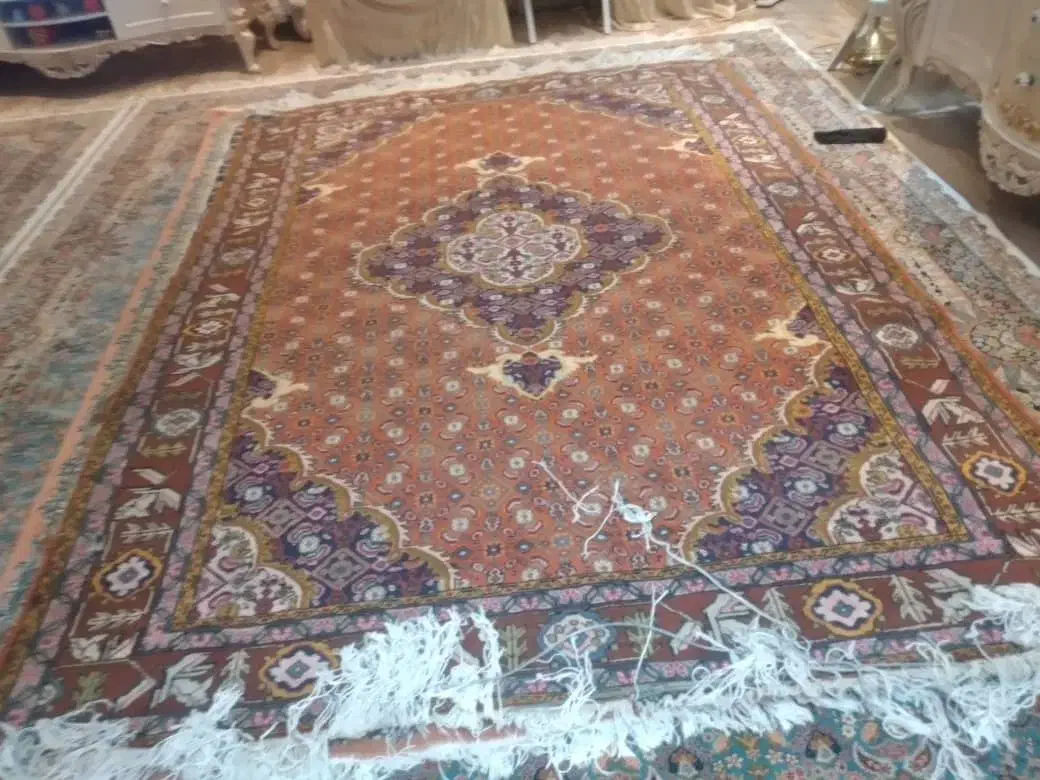 فرش طبیعی|فرش|اردبیل, |دیوار