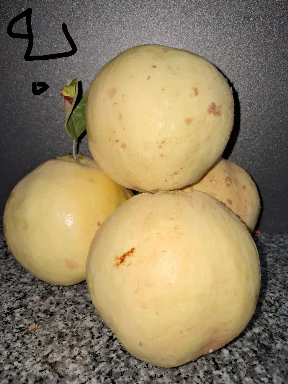 مربای خانگی|خوردنی و آشامیدنی|شیراز, شهرک ایثار|دیوار