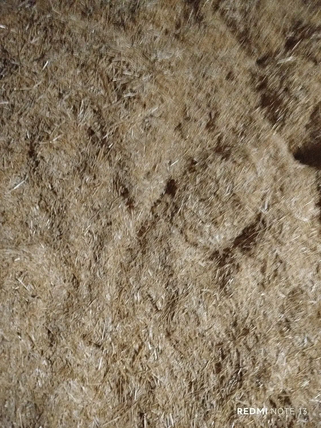 کاه دیم|لوازم جانبی حیوانات|خنجین, |دیوار