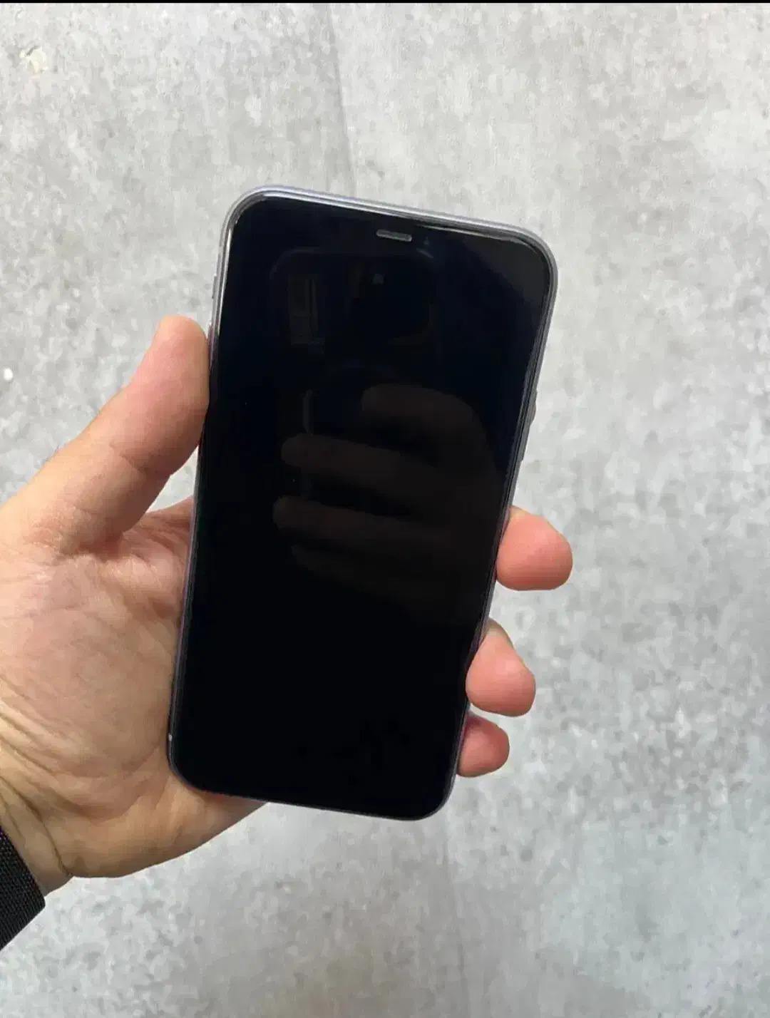 ایفون 13|موبایل|نور, |دیوار